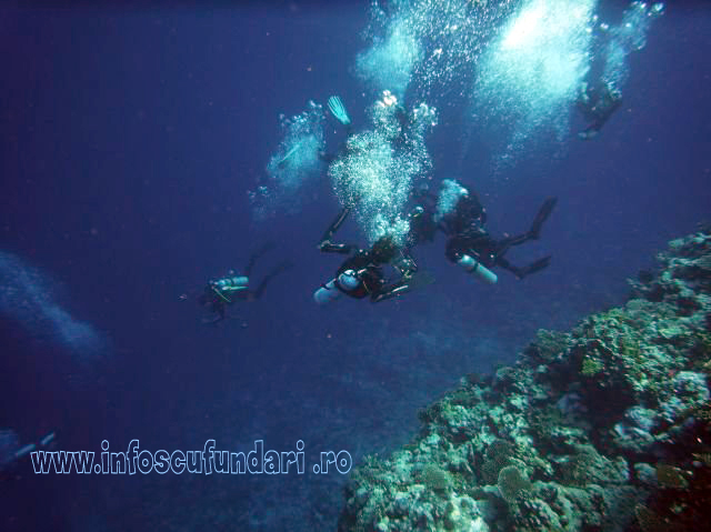 fotografii_scufundari_scuba-diving_egipt